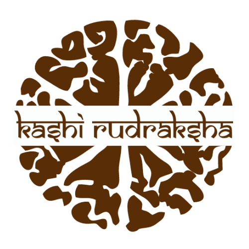 Kashi Rudraksha.
